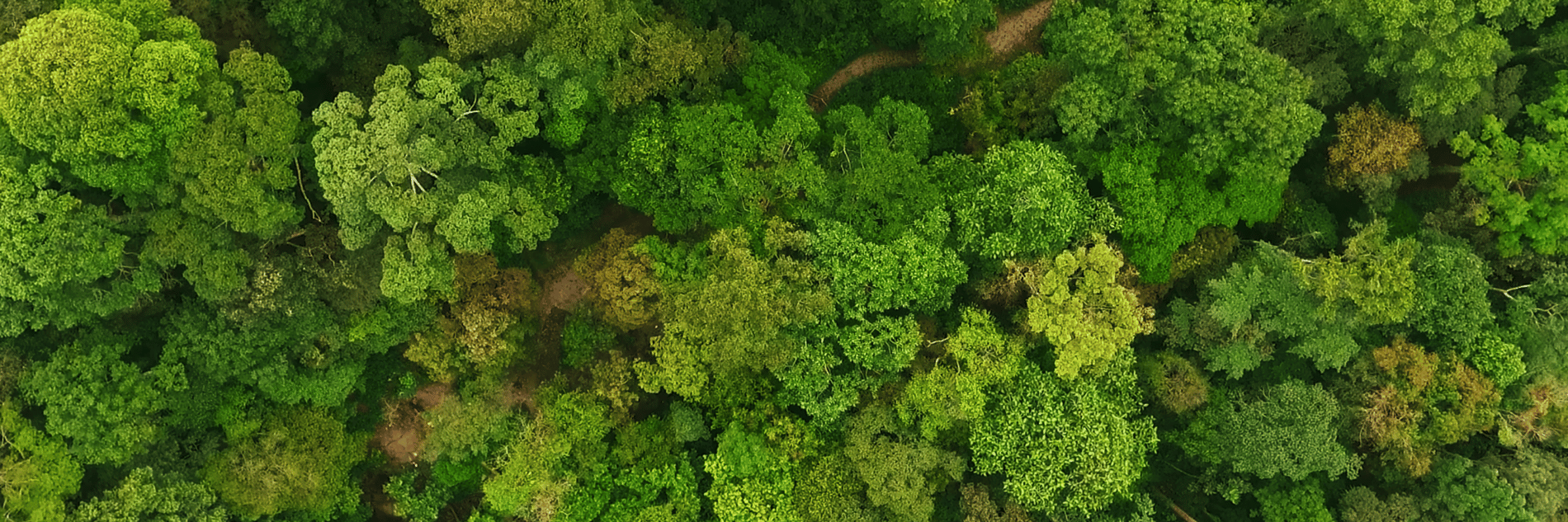 Real-Time-Visibility (2)